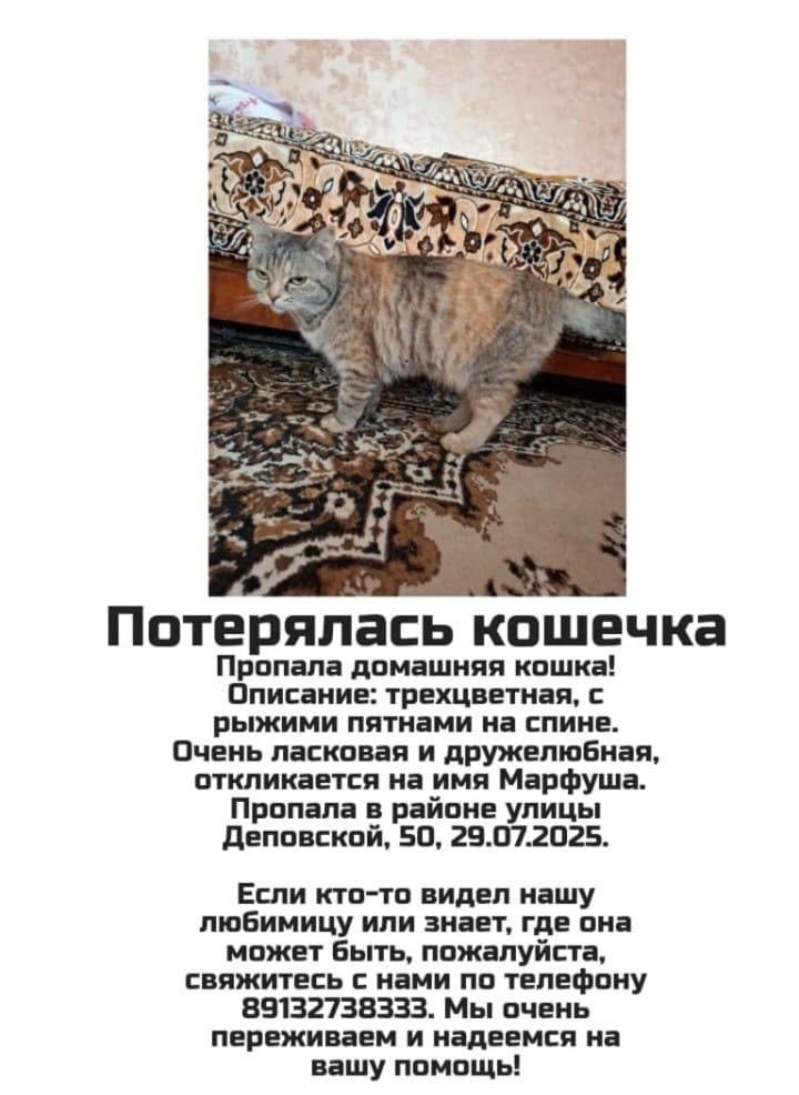 Найдена собака в Барнауле — фото объявления
