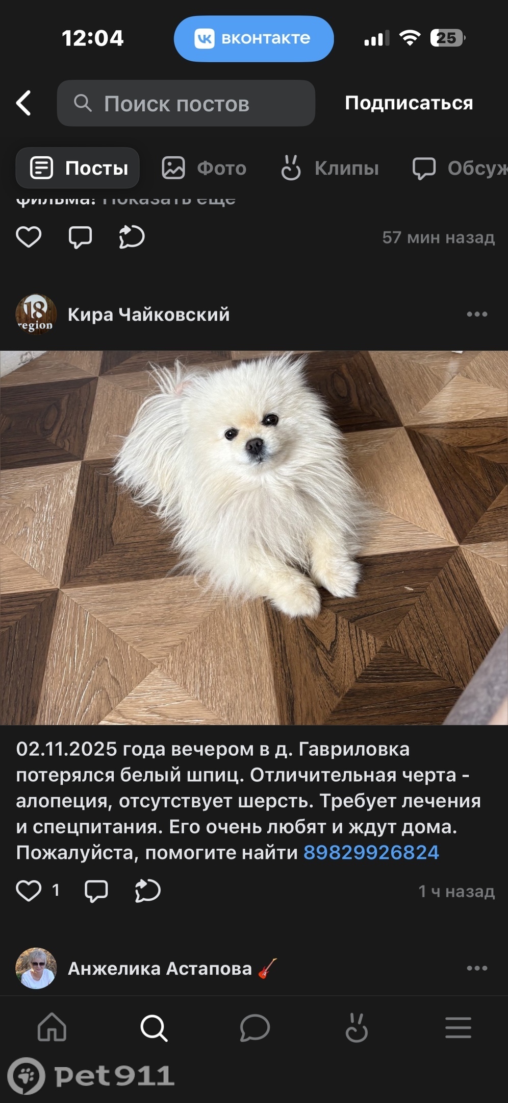 Пропала собака в Ижевске — фото объявления