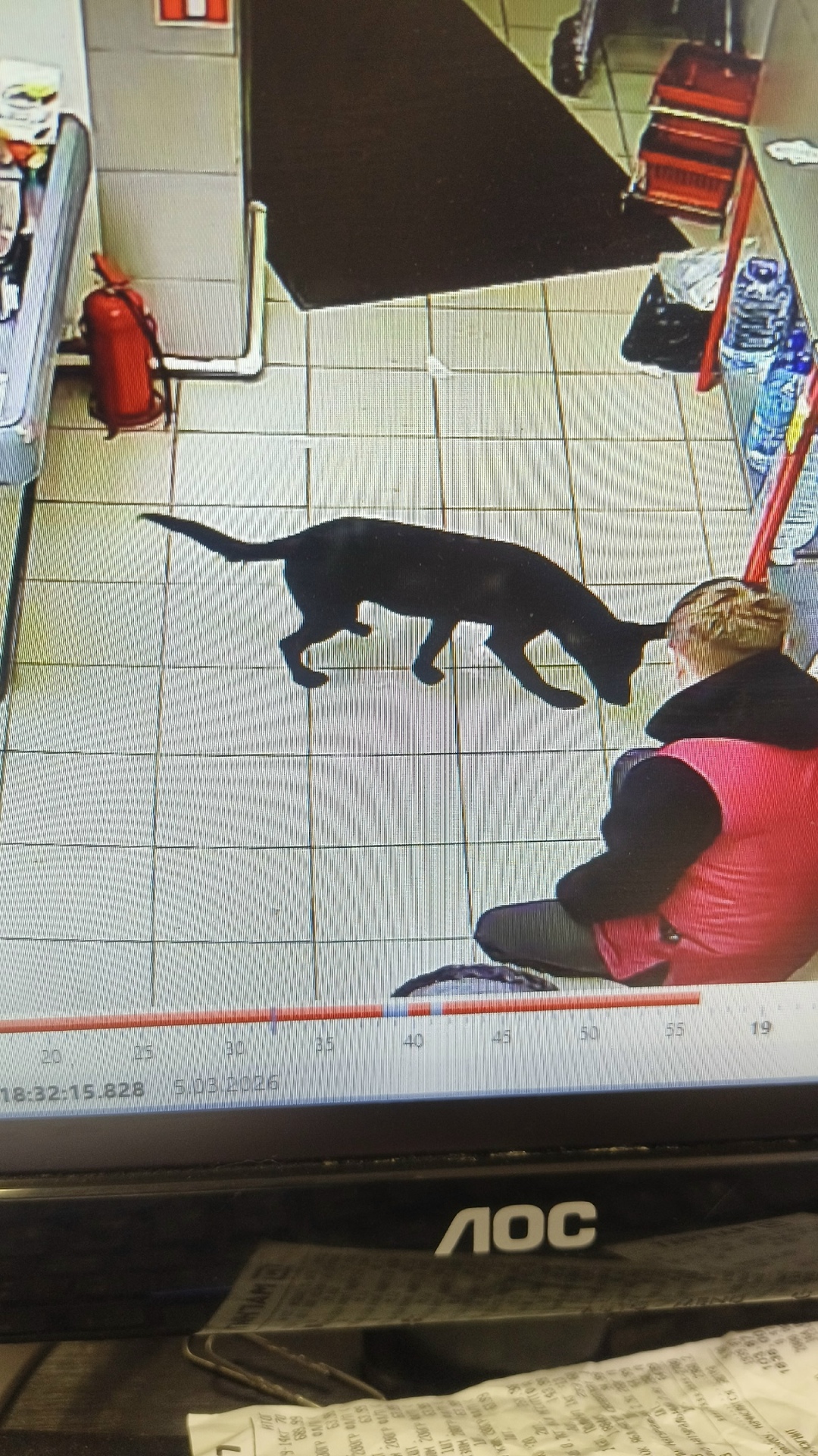 Найдена собака в Ульяновске — фото объявления