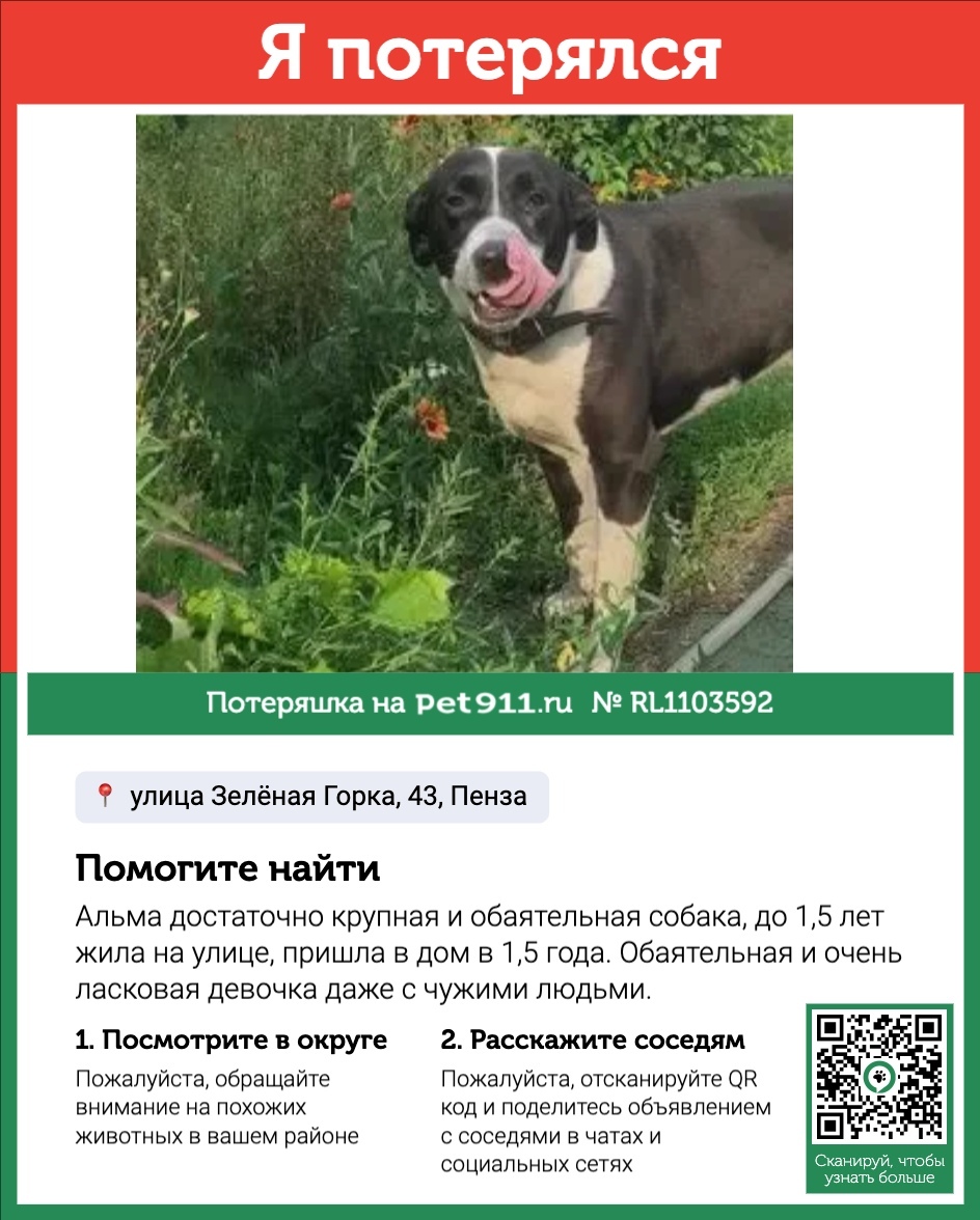 Пропала собака в Пензе — фото объявления