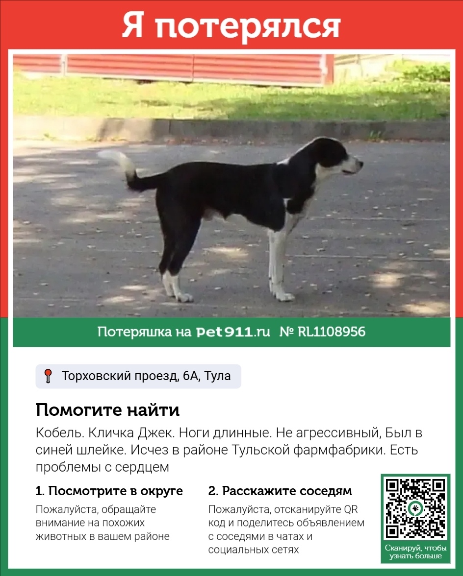 Пропала собака в Туле — фото объявления