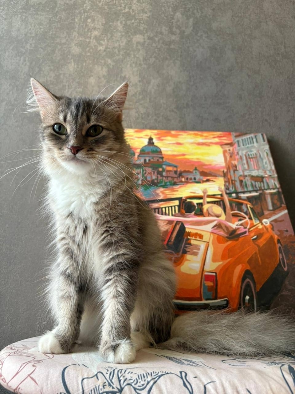 Пропала кошка в Сочи — фото объявления