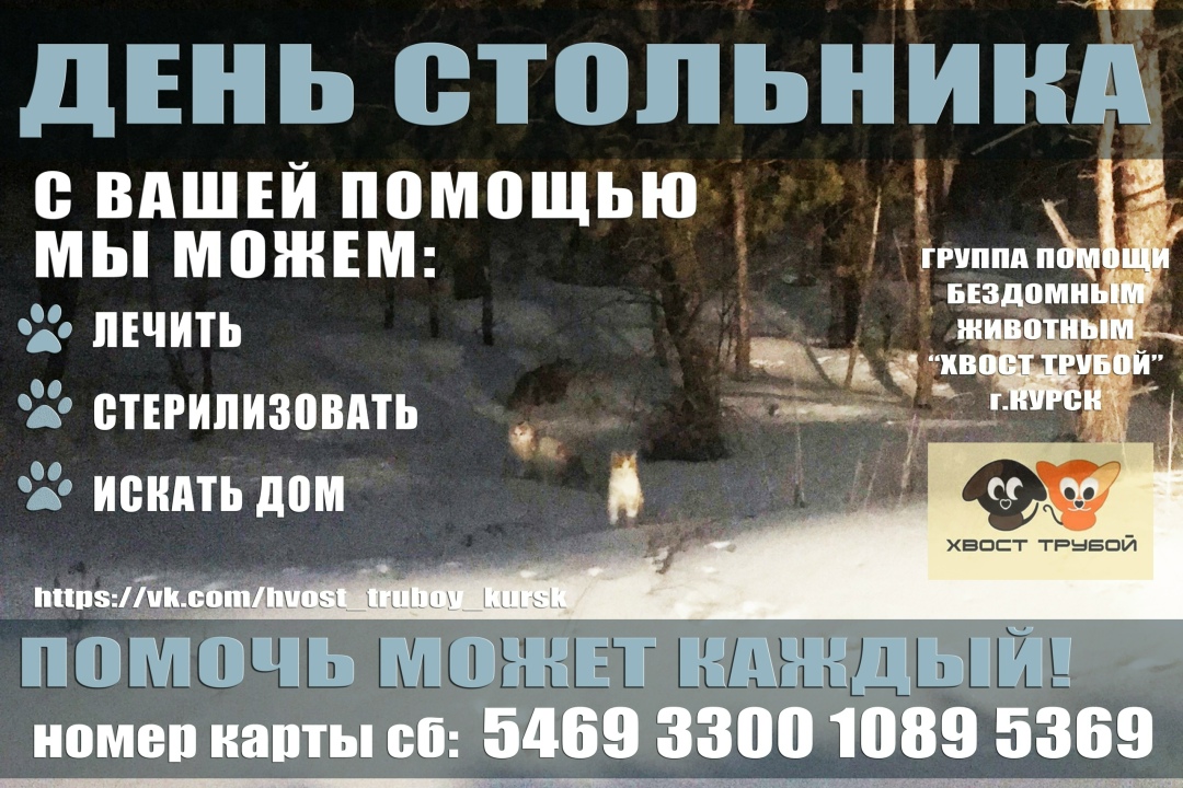 Пропала собака в Курске — фото объявления