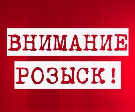 Пропала собака в Брянске — фото объявления