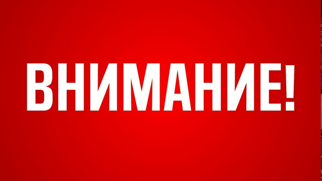 Пропала собака в Симферополе — фото объявления