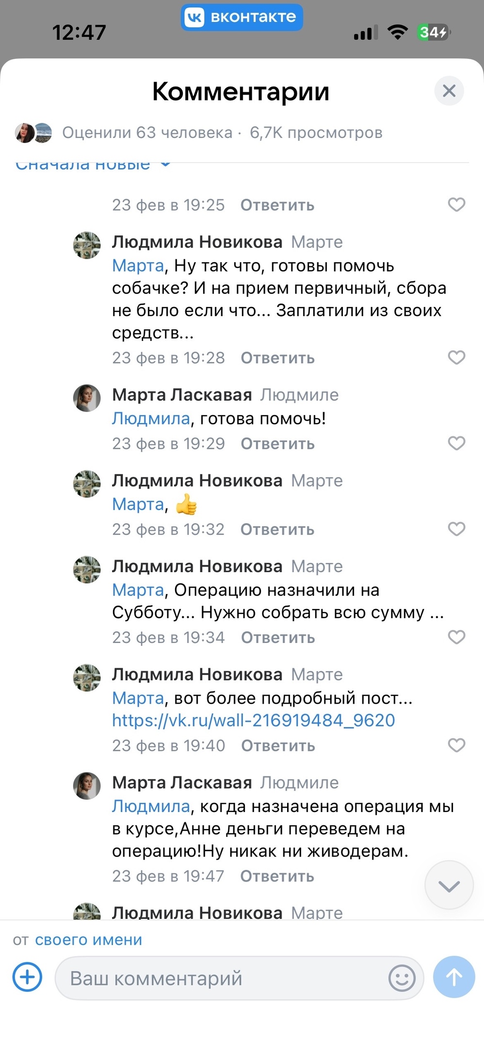 Найдена собака в Смоленске — фото объявления