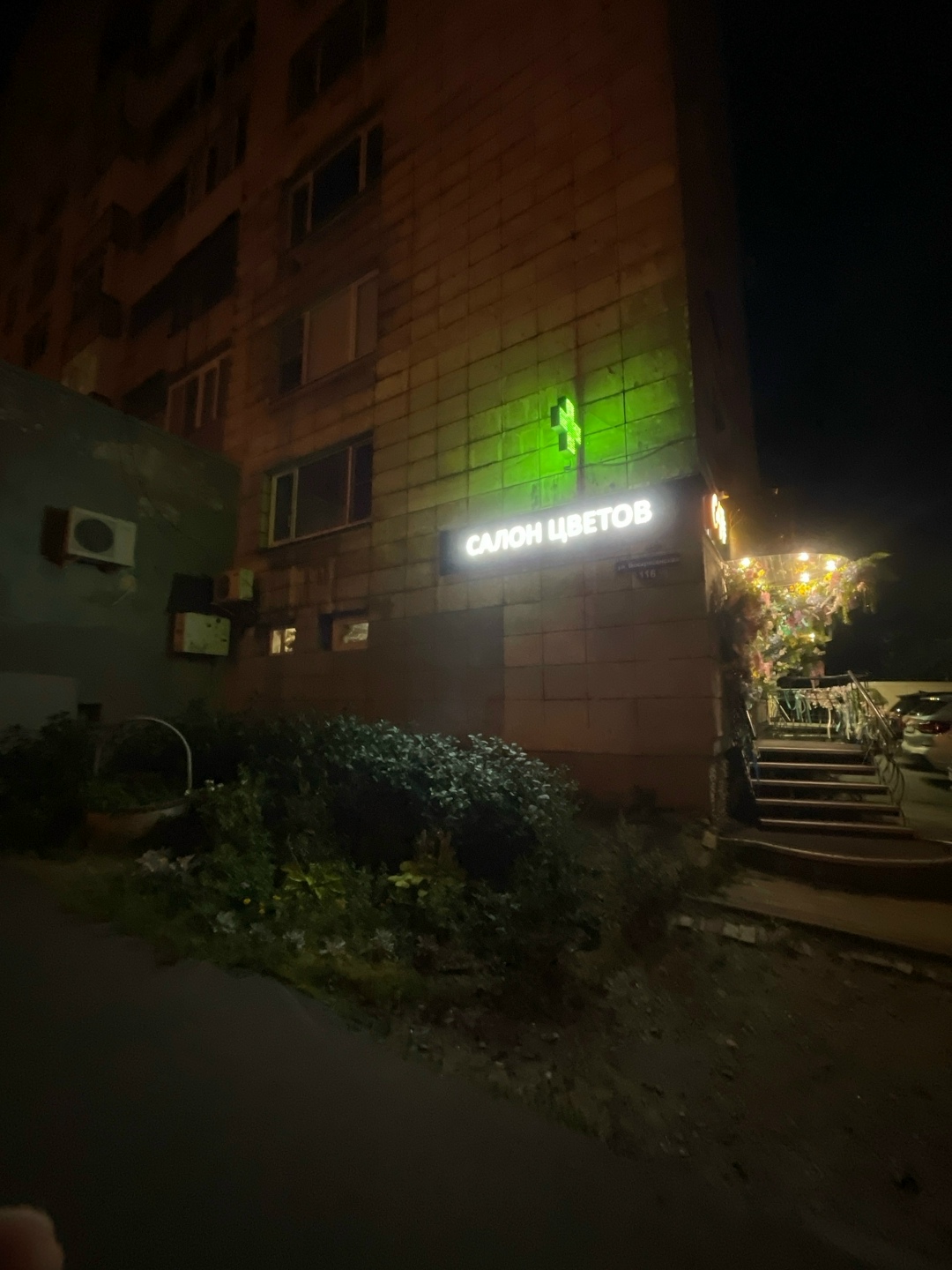 Найдена собака в Архангельске — фото объявления