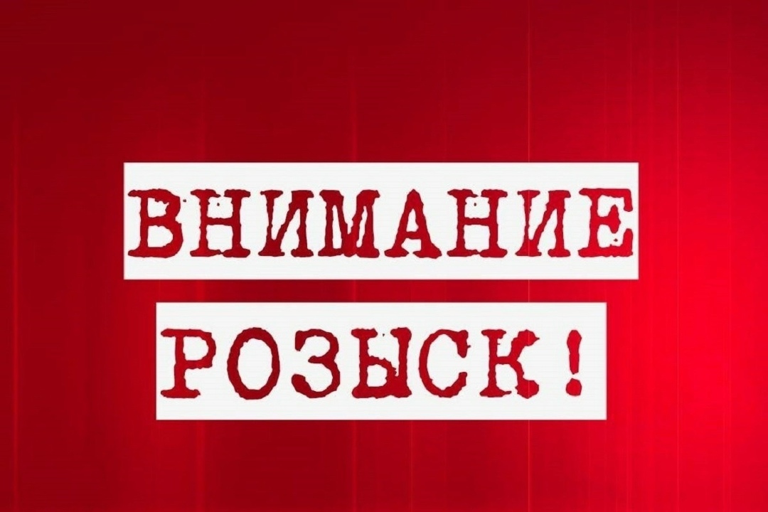 Пропала собака в Йошкар-Оле — фото объявления