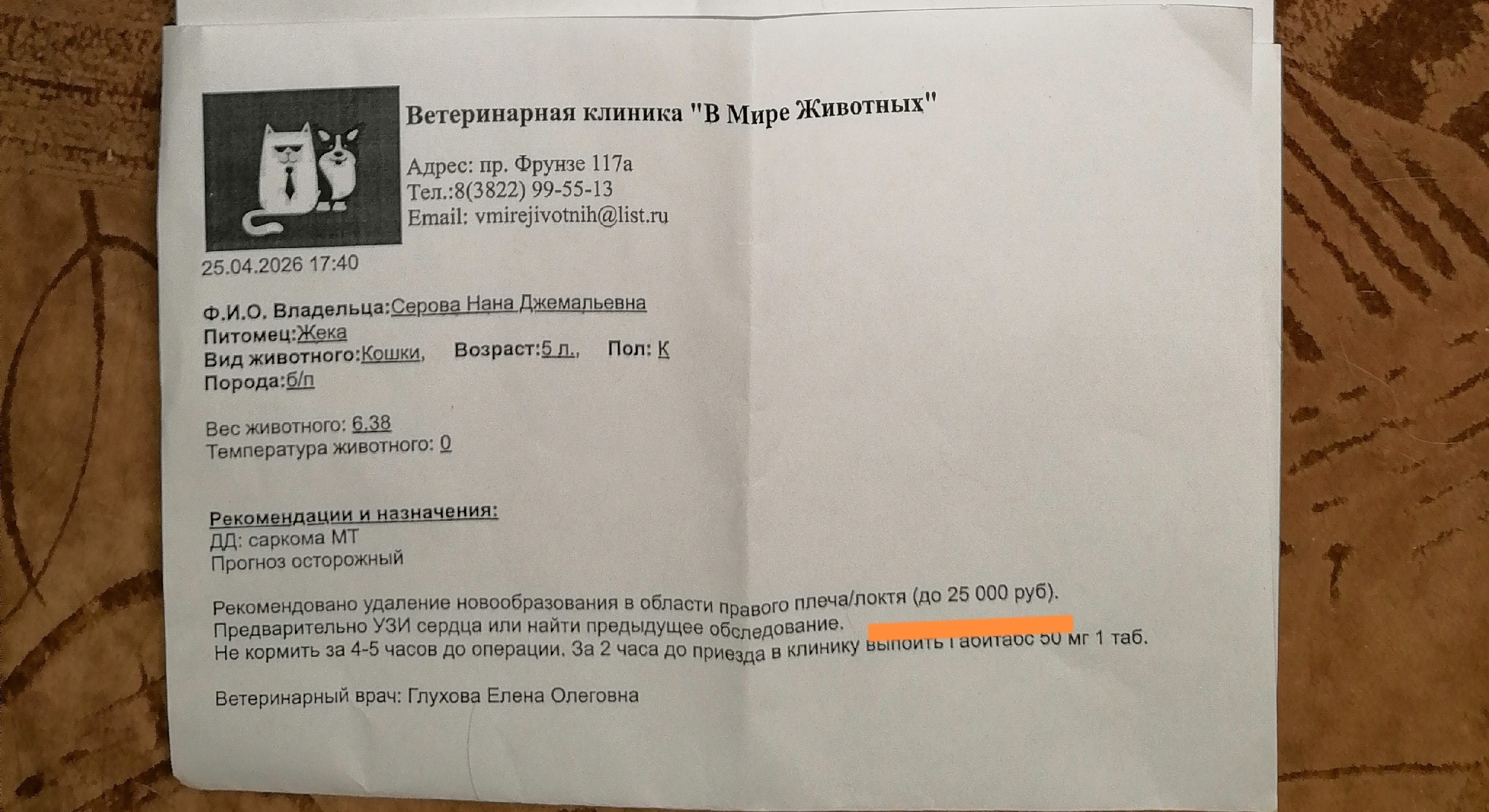 Найдена кошка в Томске — фото объявления