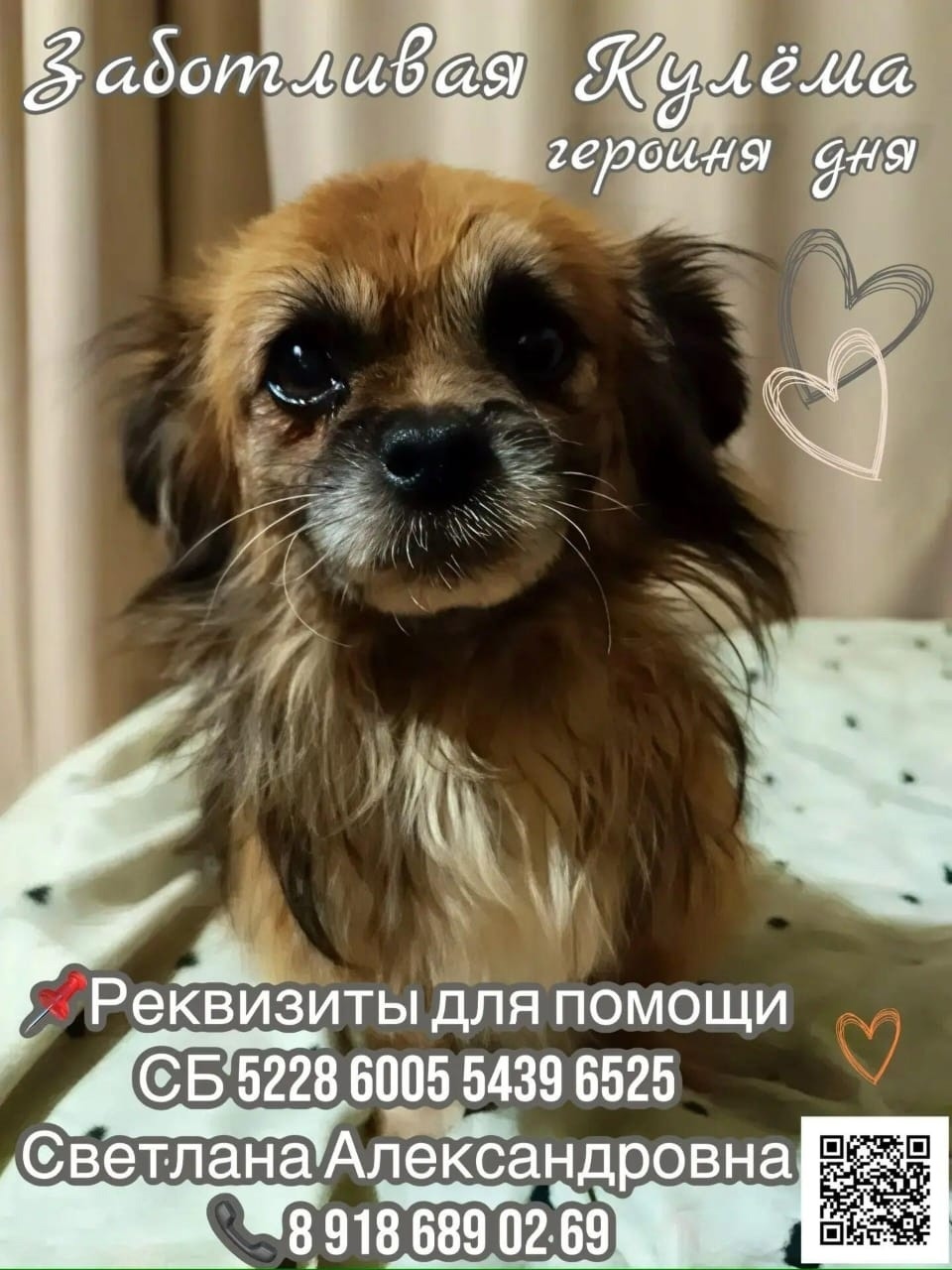Найдена собака в Ейске — фото объявления