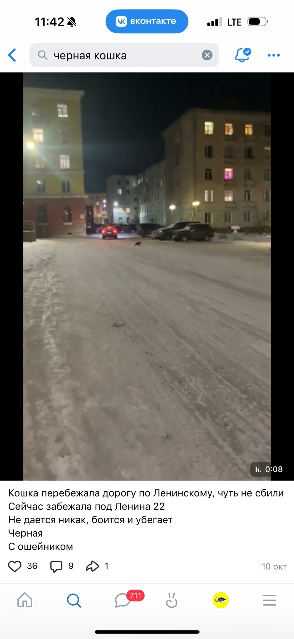 Пропала кошка в Норильске — фото объявления