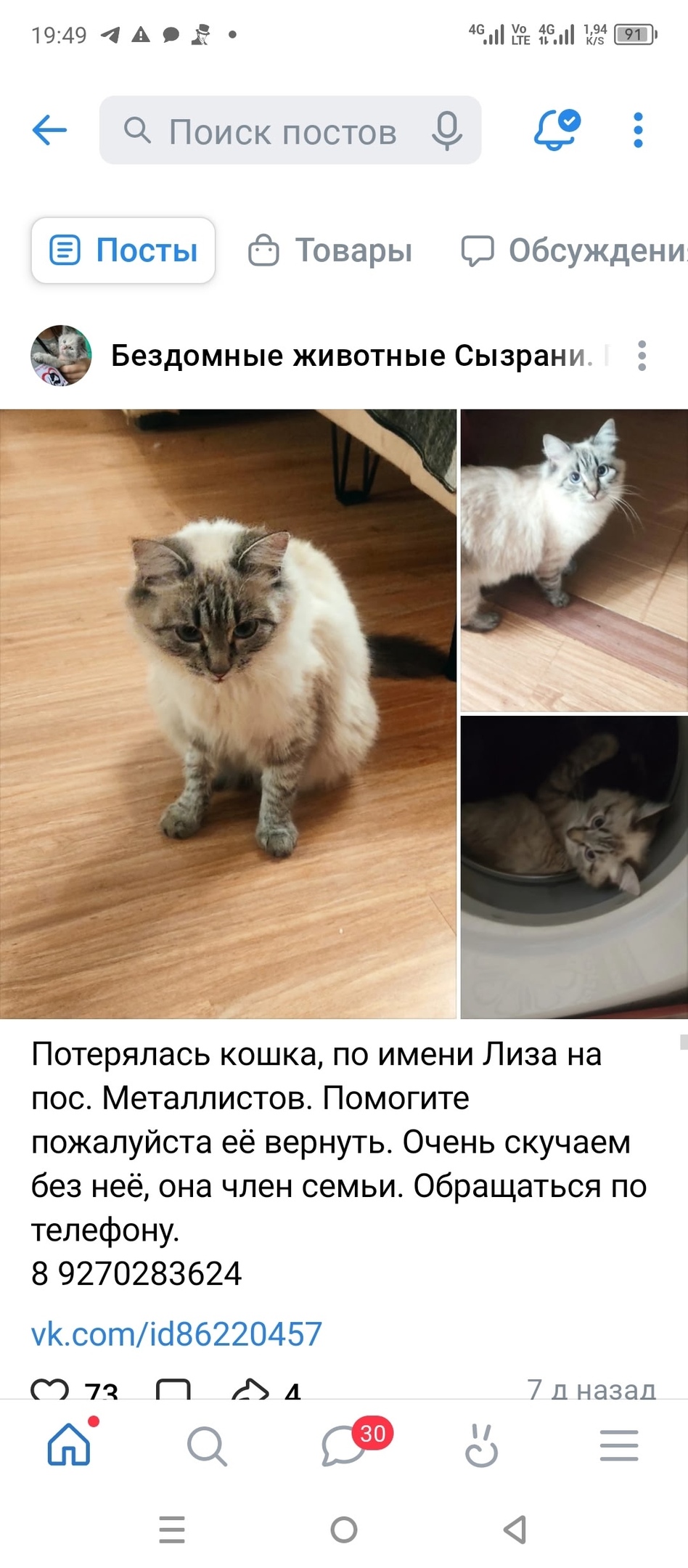 Пропала кошка в Сызрани — фото объявления