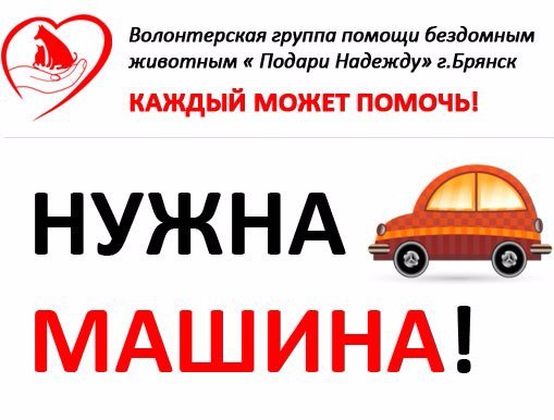 Найдена собака в Брянске — фото объявления