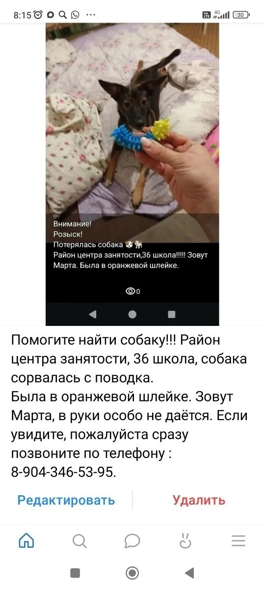 Пропала собака в Таганроге — фото объявления
