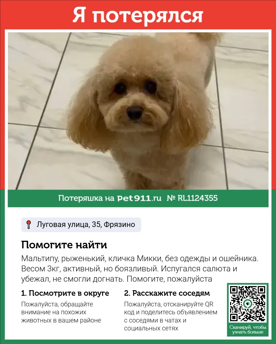 Пропала собака в Реутове — фото объявления