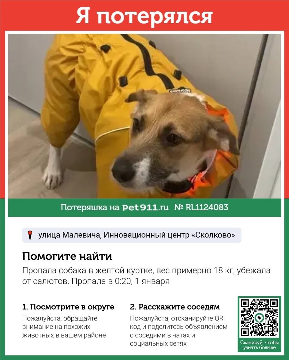 Пропала собака в Реутове — фото объявления