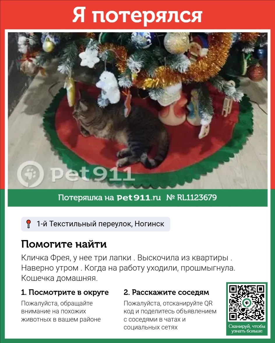 Пропала кошка в Реутове — фото объявления