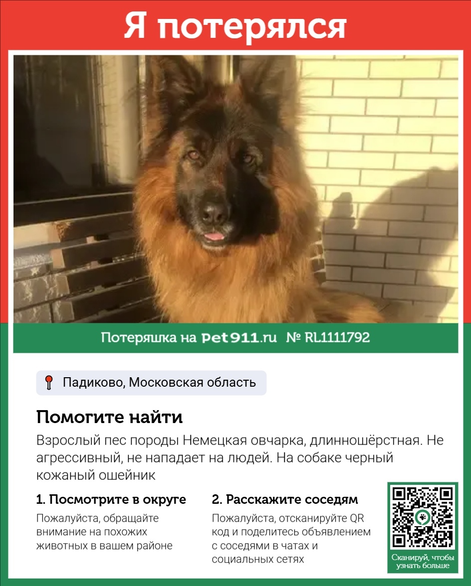 Пропала собака в Реутове — фото объявления