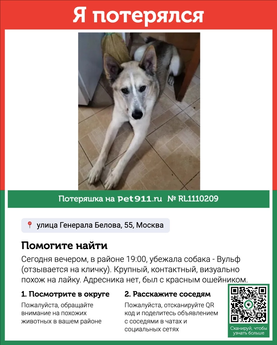 Пропала собака в Реутове — фото объявления