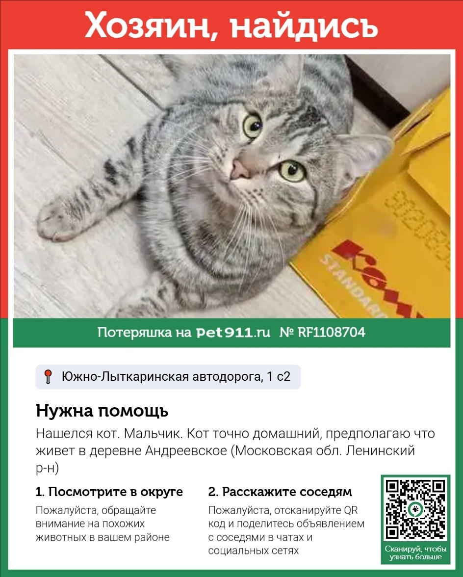 Найдена кошка в Реутове — фото объявления