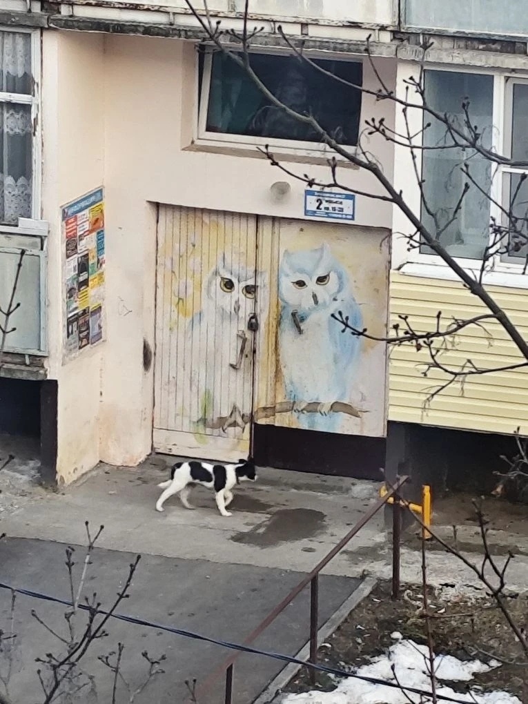 Пропала собака в Егорьевске — фото объявления