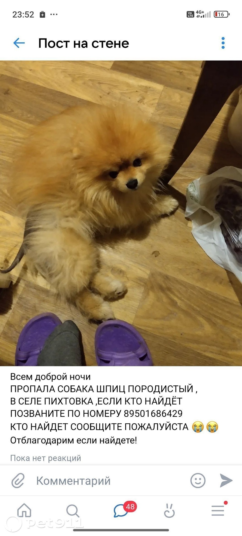 Пропала собака в Ижевске — фото объявления