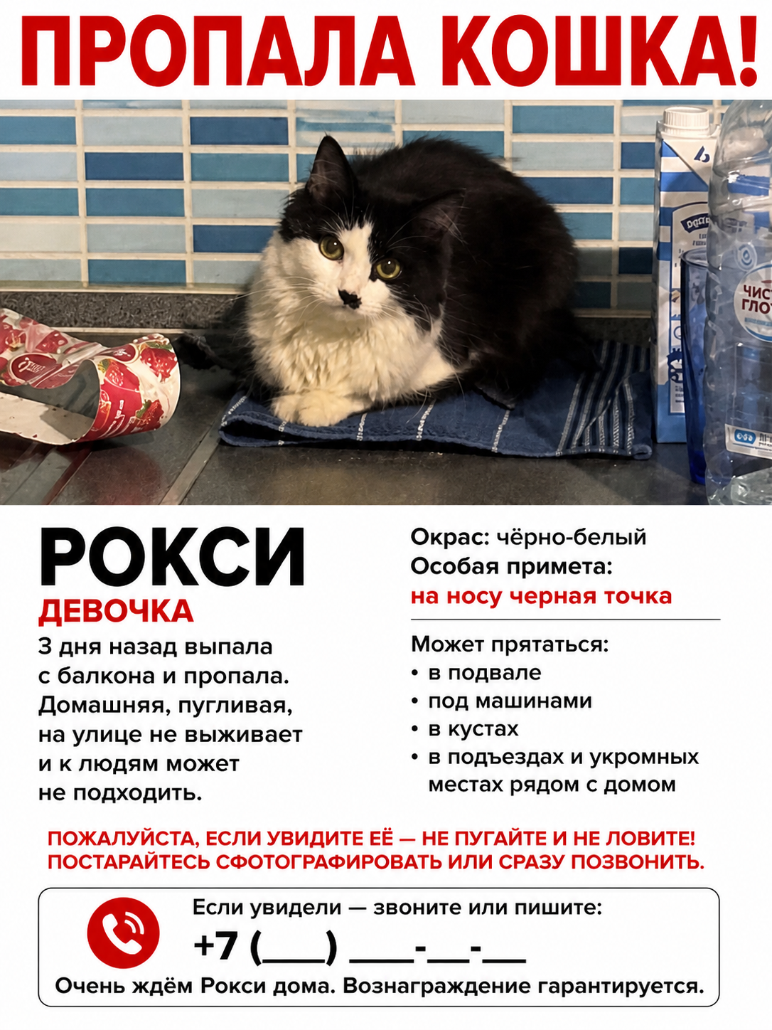 Пропала кошка в Химках — фото объявления
