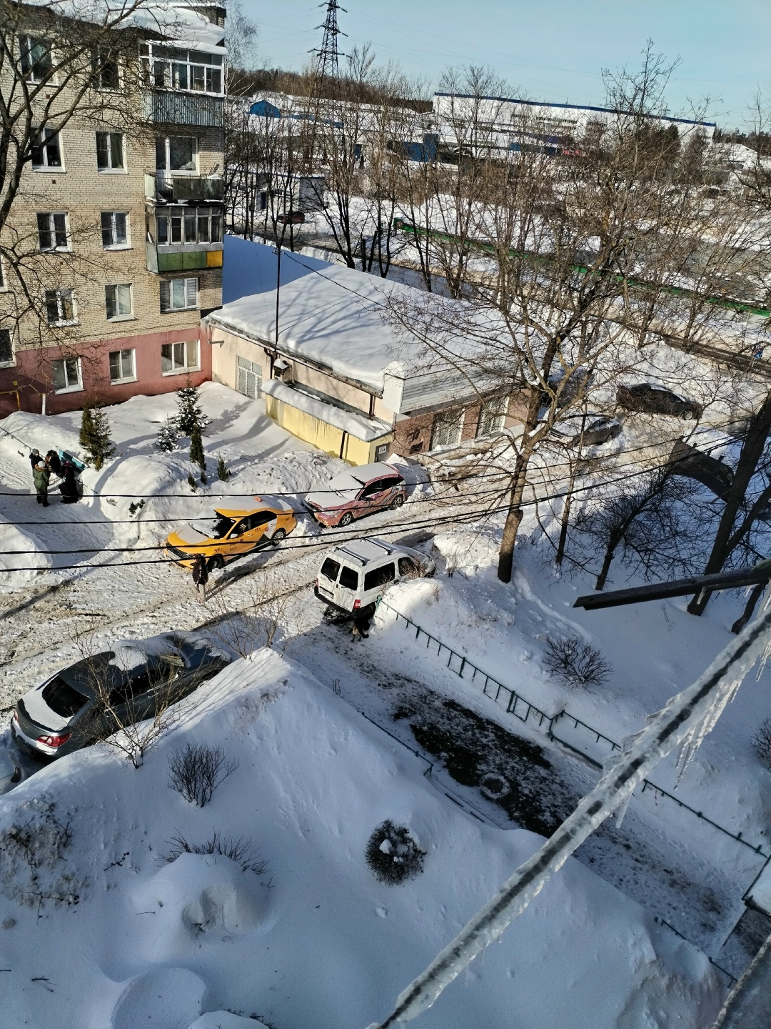 Пропала собака в Фрязине — фото объявления