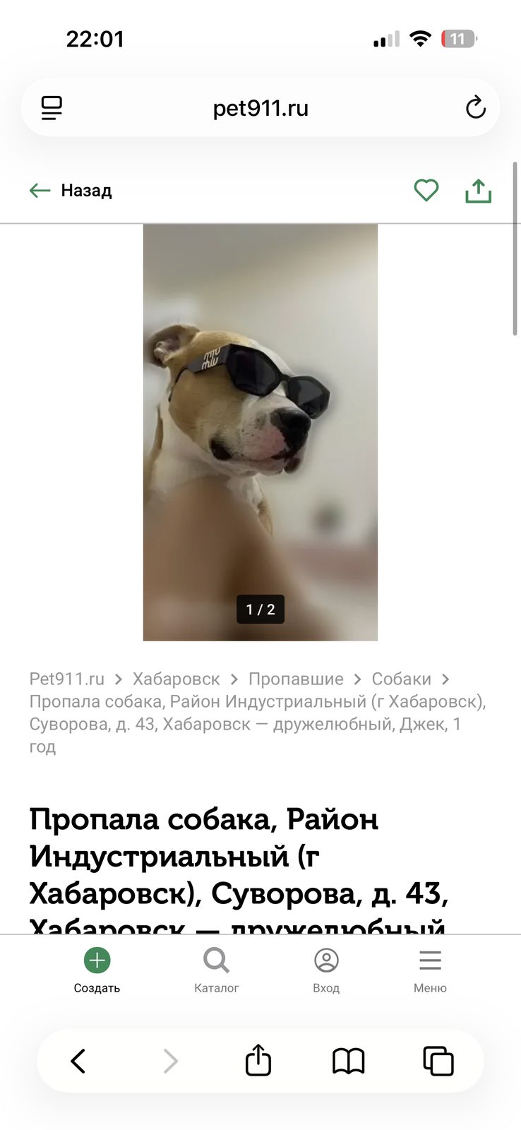 Пропала собака в Хабаровске — фото объявления