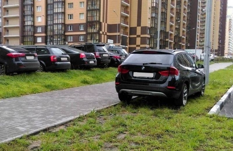 Объявление о питомце в Долгопрудном — фото объявления