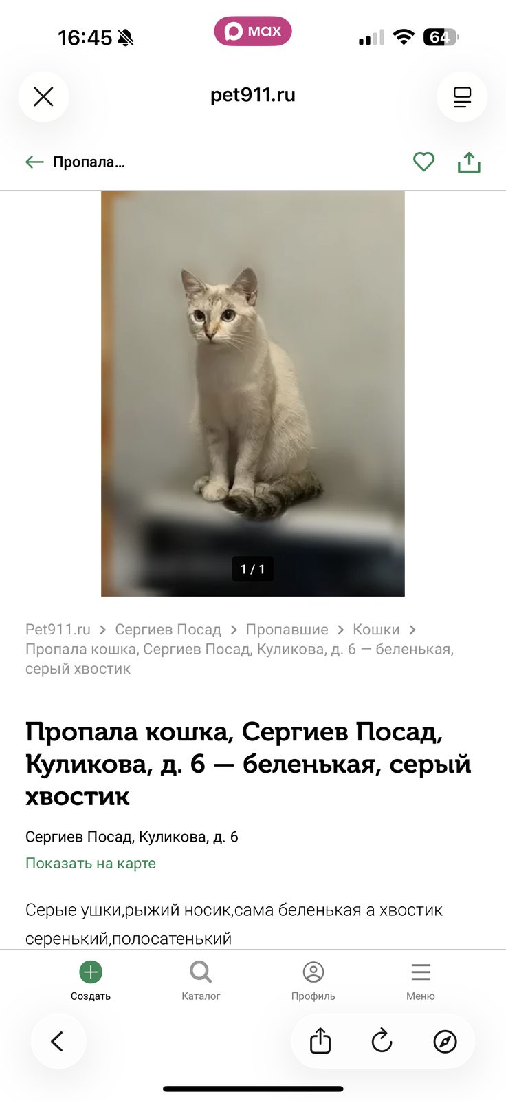 Пропала кошка в Сергиевом Посаде — фото объявления