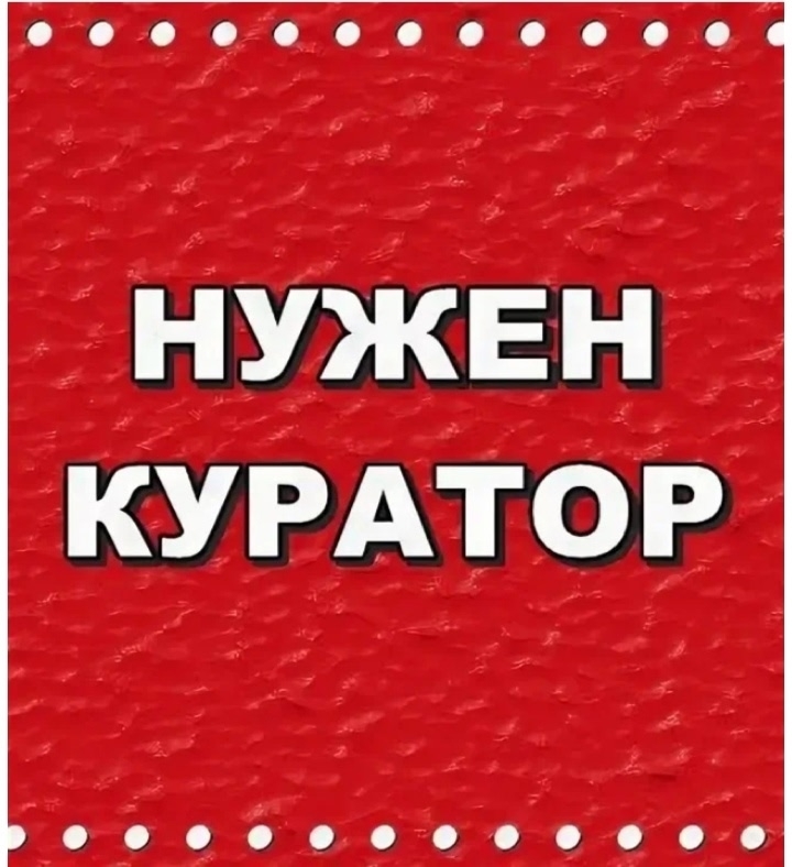 Найдена кошка в Мурманске — фото объявления