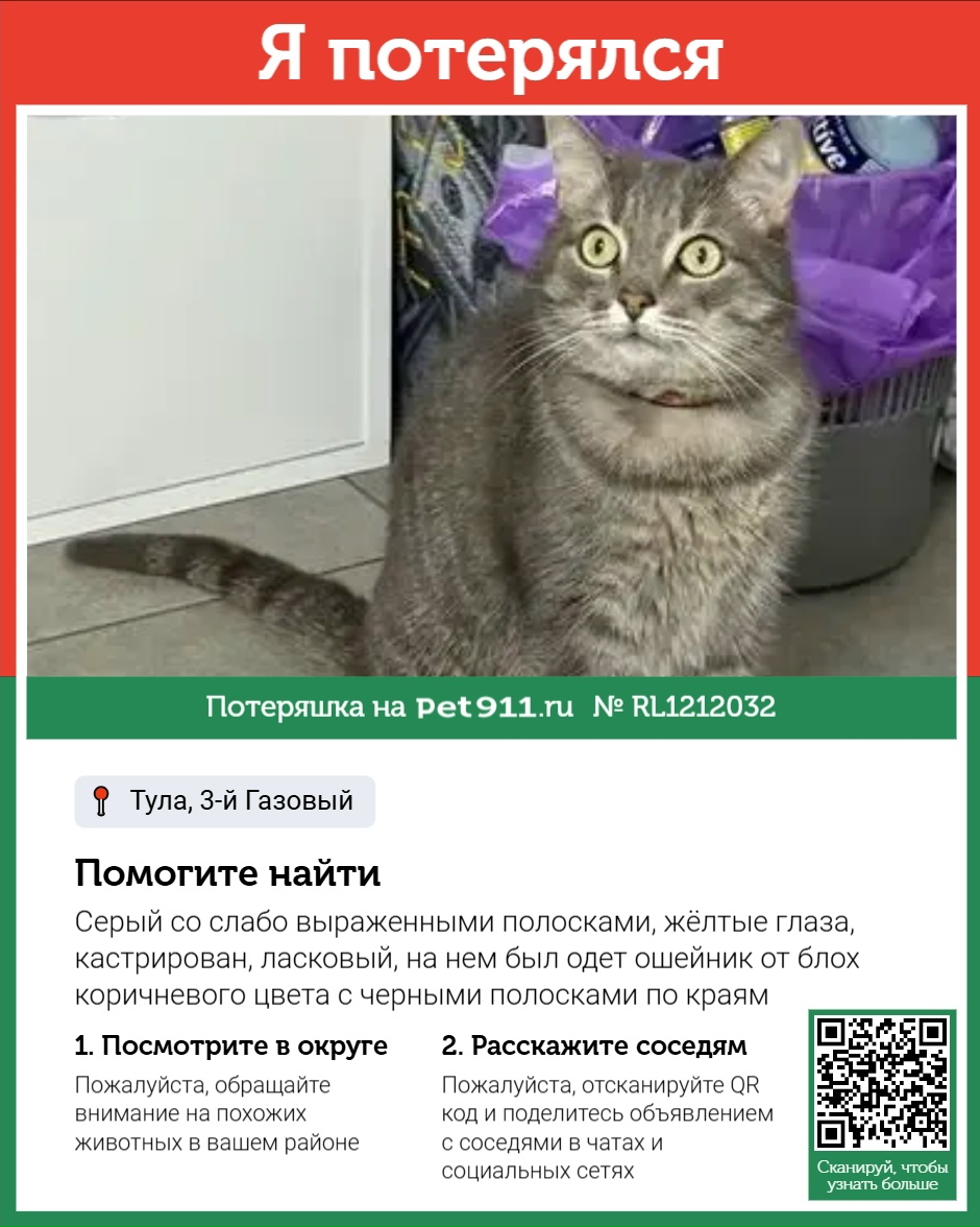 Найдена кошка в Туле — фото объявления