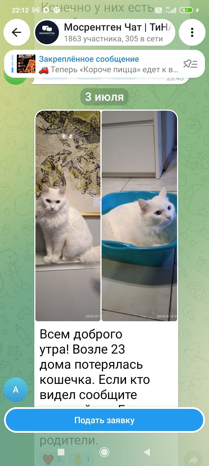 Пропала кошка в Москве — Помогите найти, пожалуйста