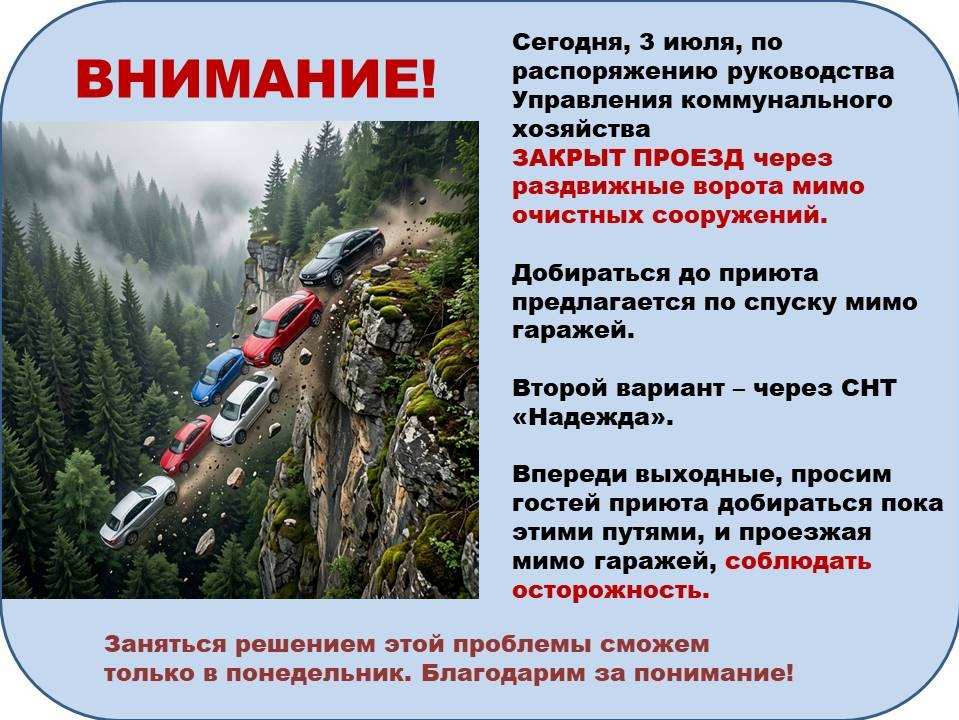 Найдена собака в Обнинске — фото объявления