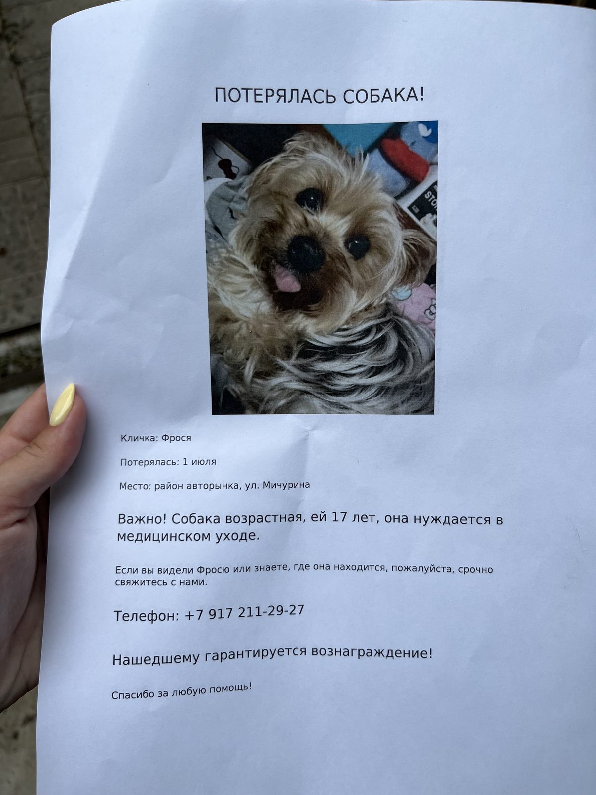 Пропала собака в Энгельсе — фото объявления