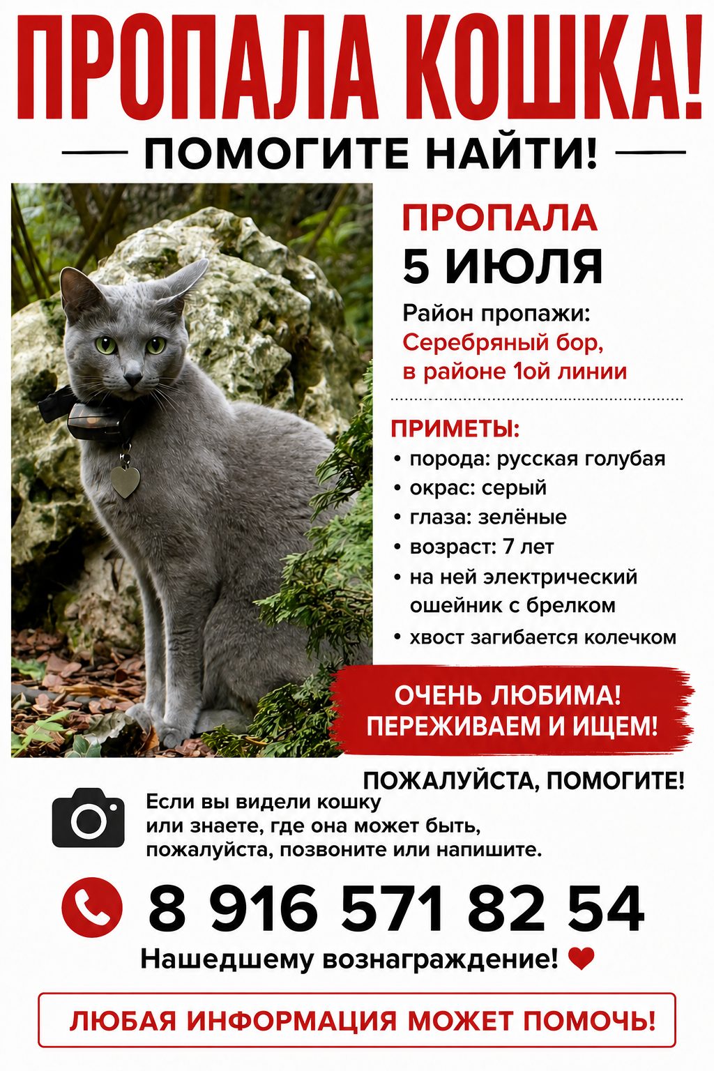 Пропала кошка в Москве — фото объявления