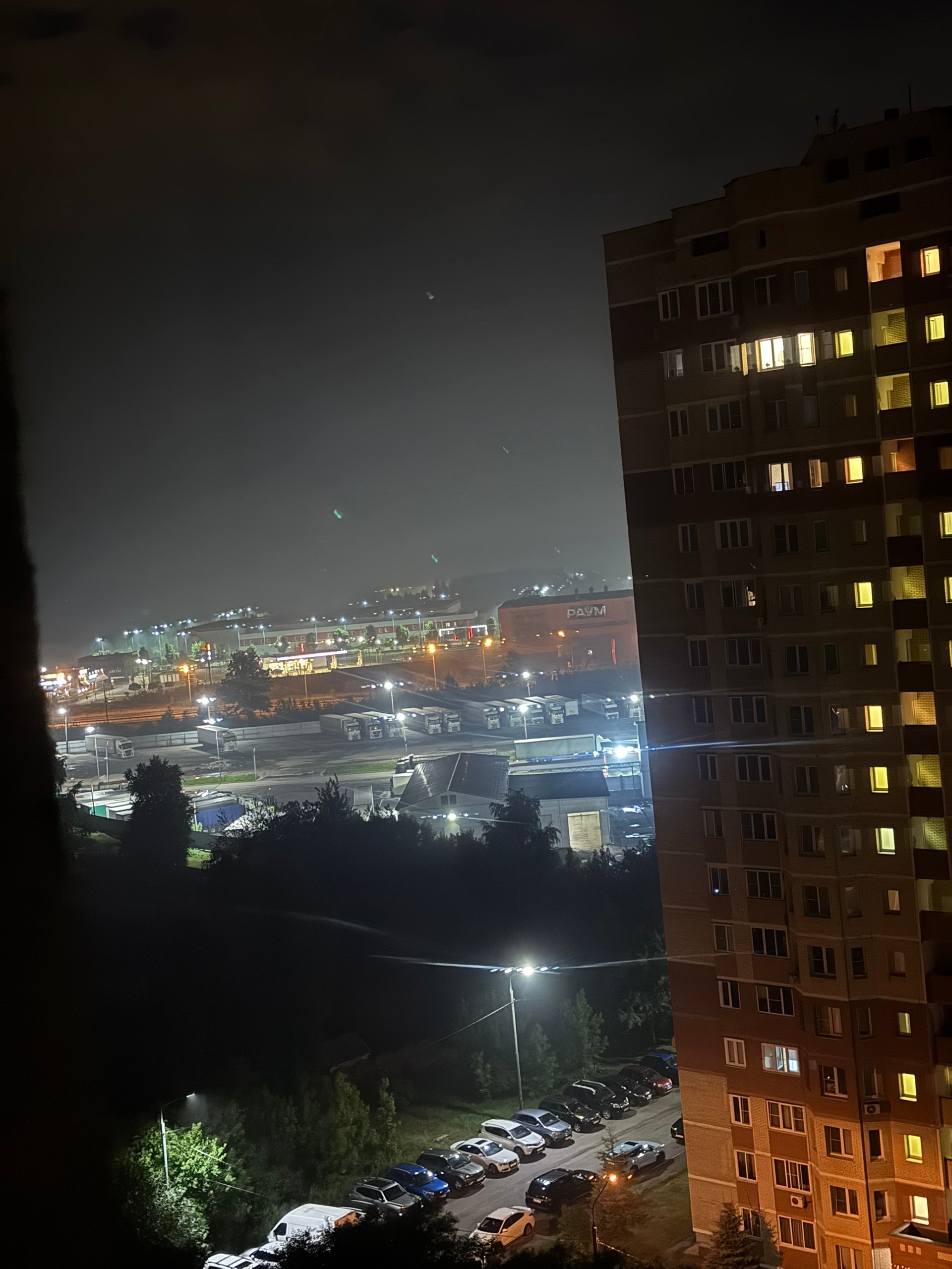 Объявление о питомце в Ногинске — фото объявления