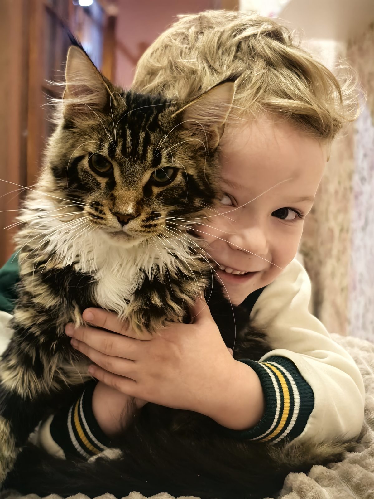 Пропала кошка в Саранске — Помогите найти любимого питомца 🙏
