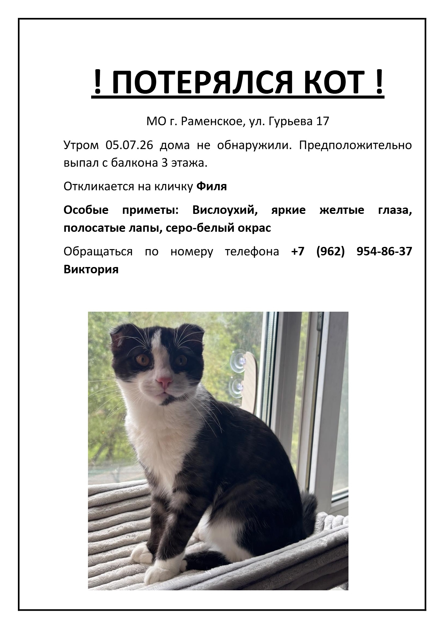 Найдена кошка в Раменском — фото объявления