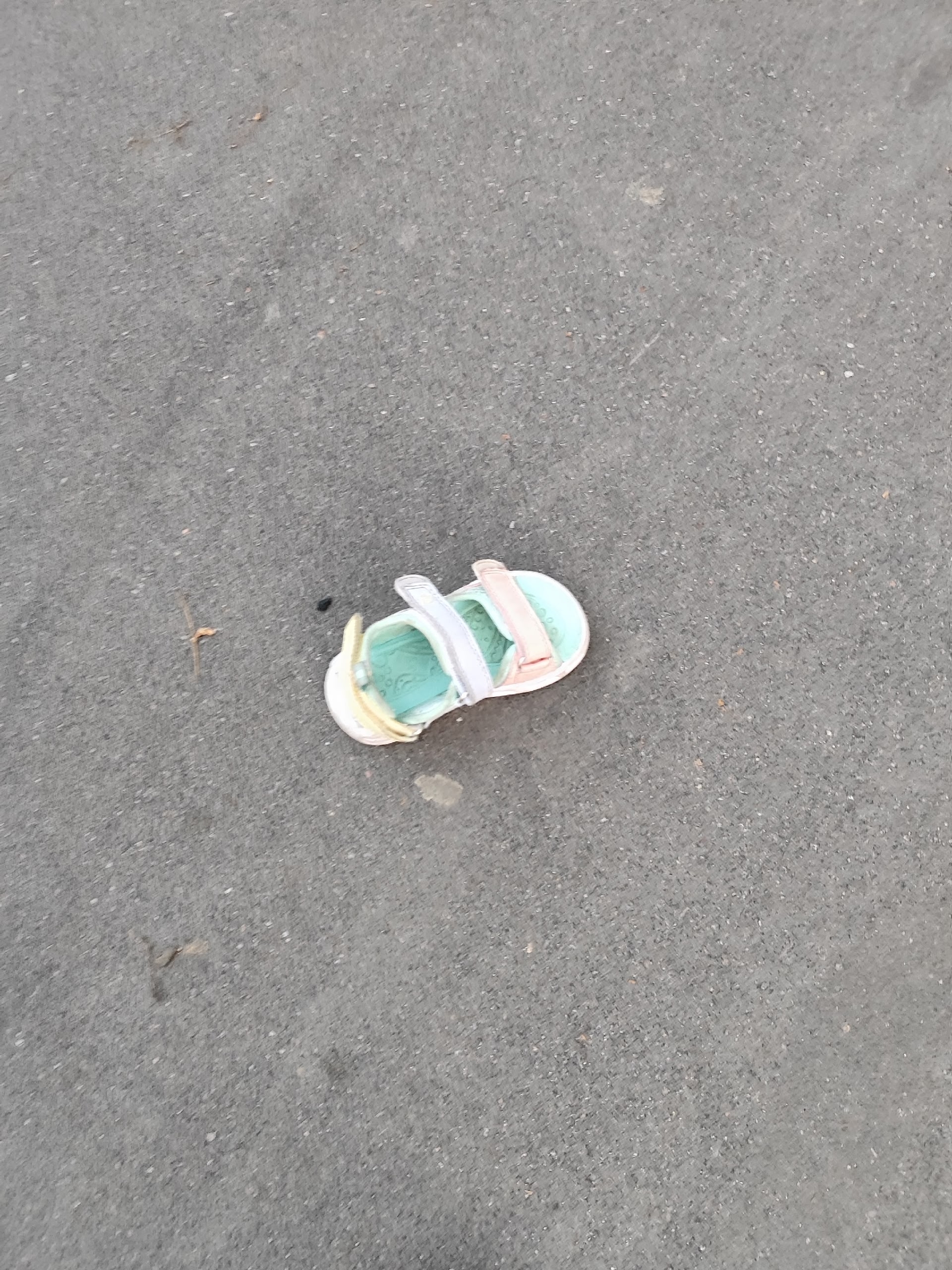 Объявление о питомце в Егорьевске — фото объявления