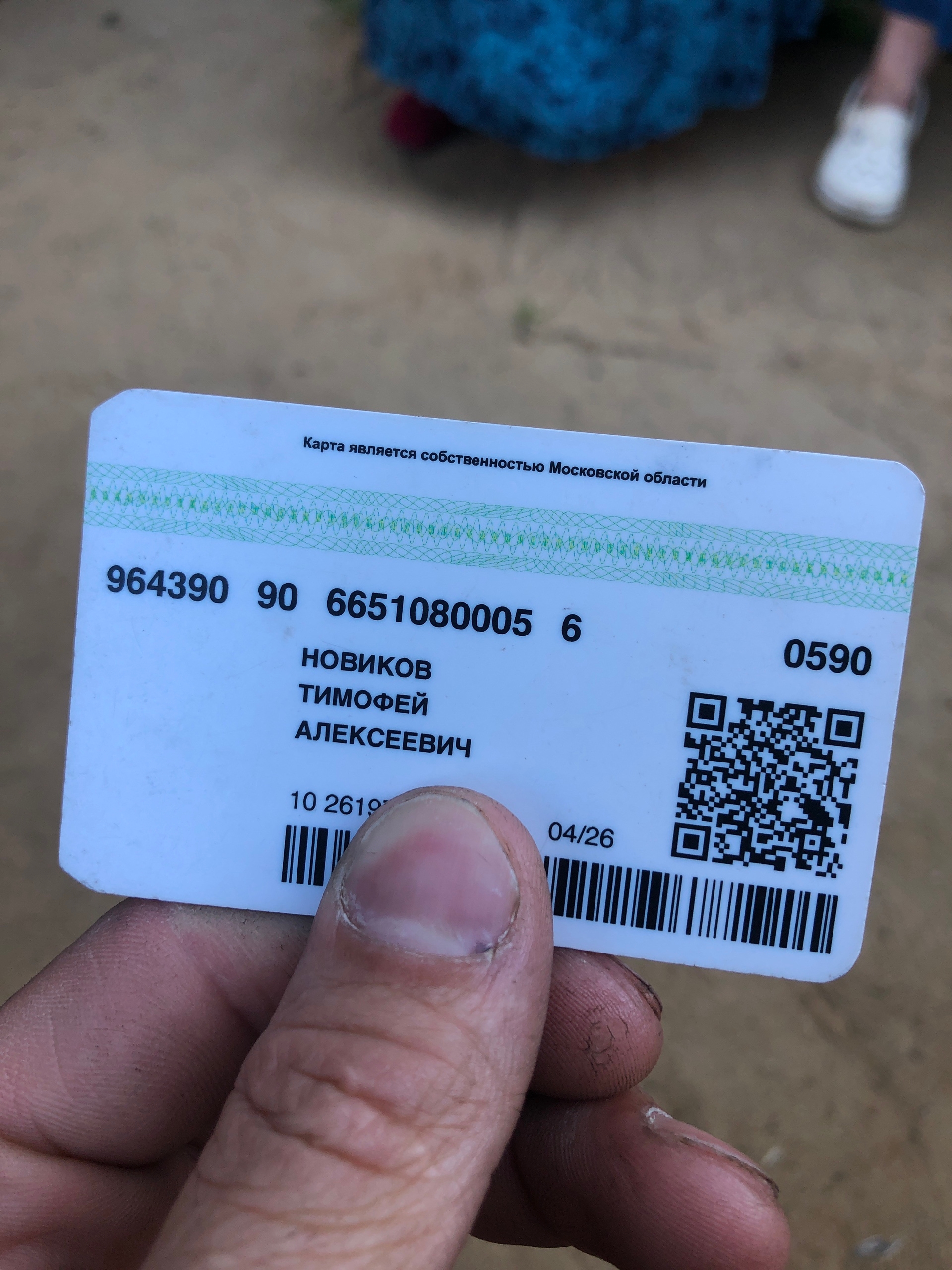 Объявление о питомце в Егорьевске — фото объявления