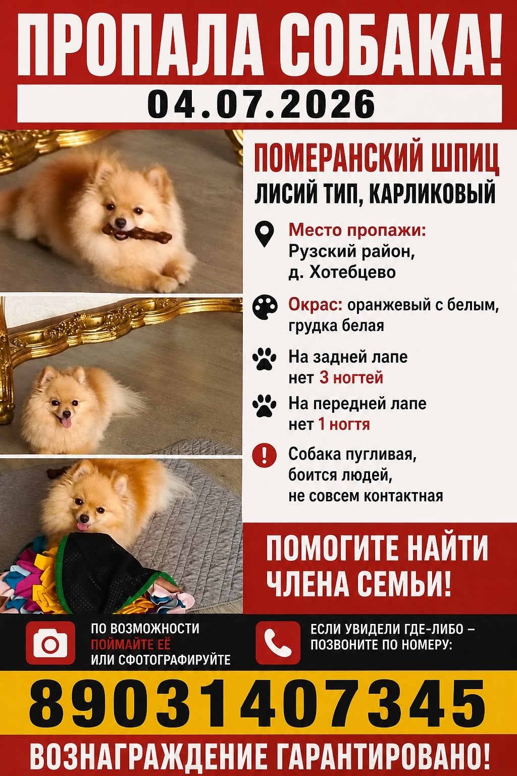Найдена собака в Рузе — фото объявления