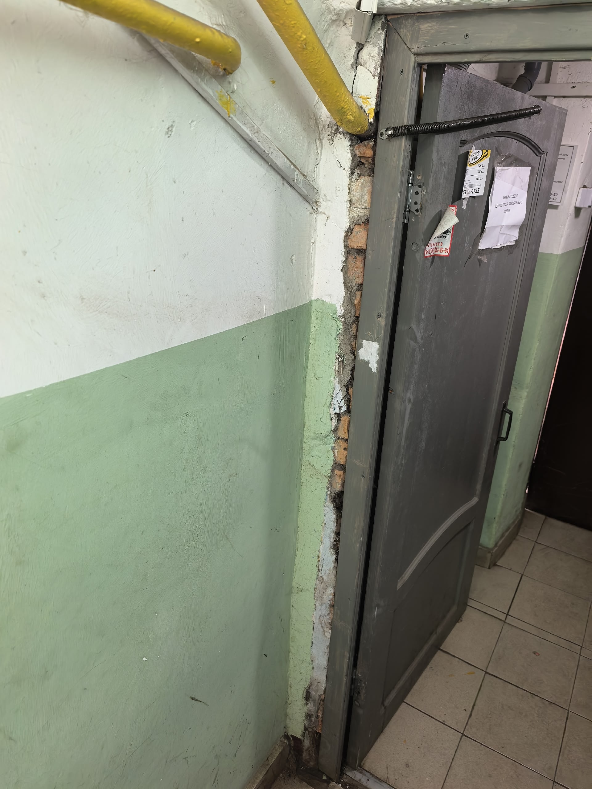 Найдена собака в Ногинске — фото объявления