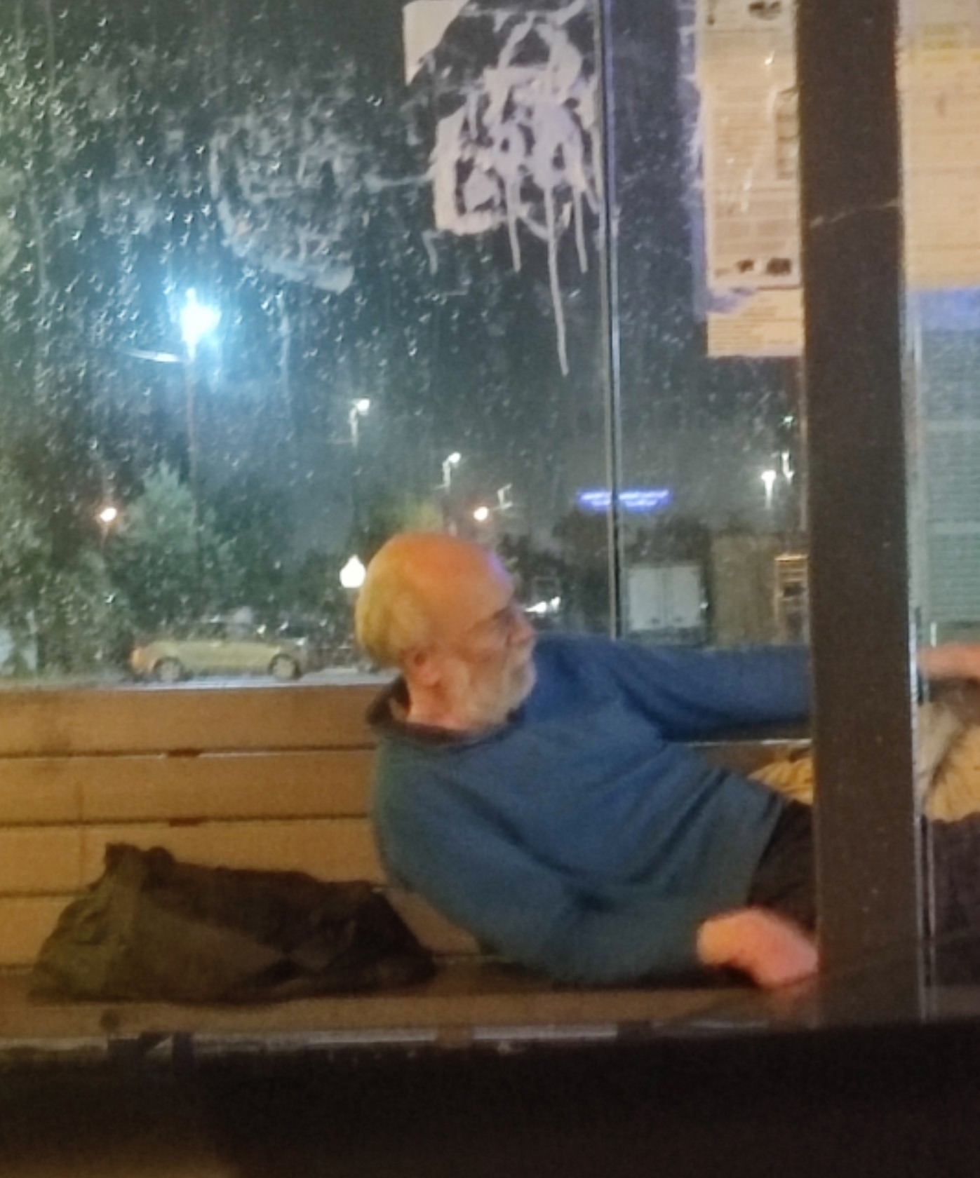 Объявление о питомце в Домодедове — фото объявления