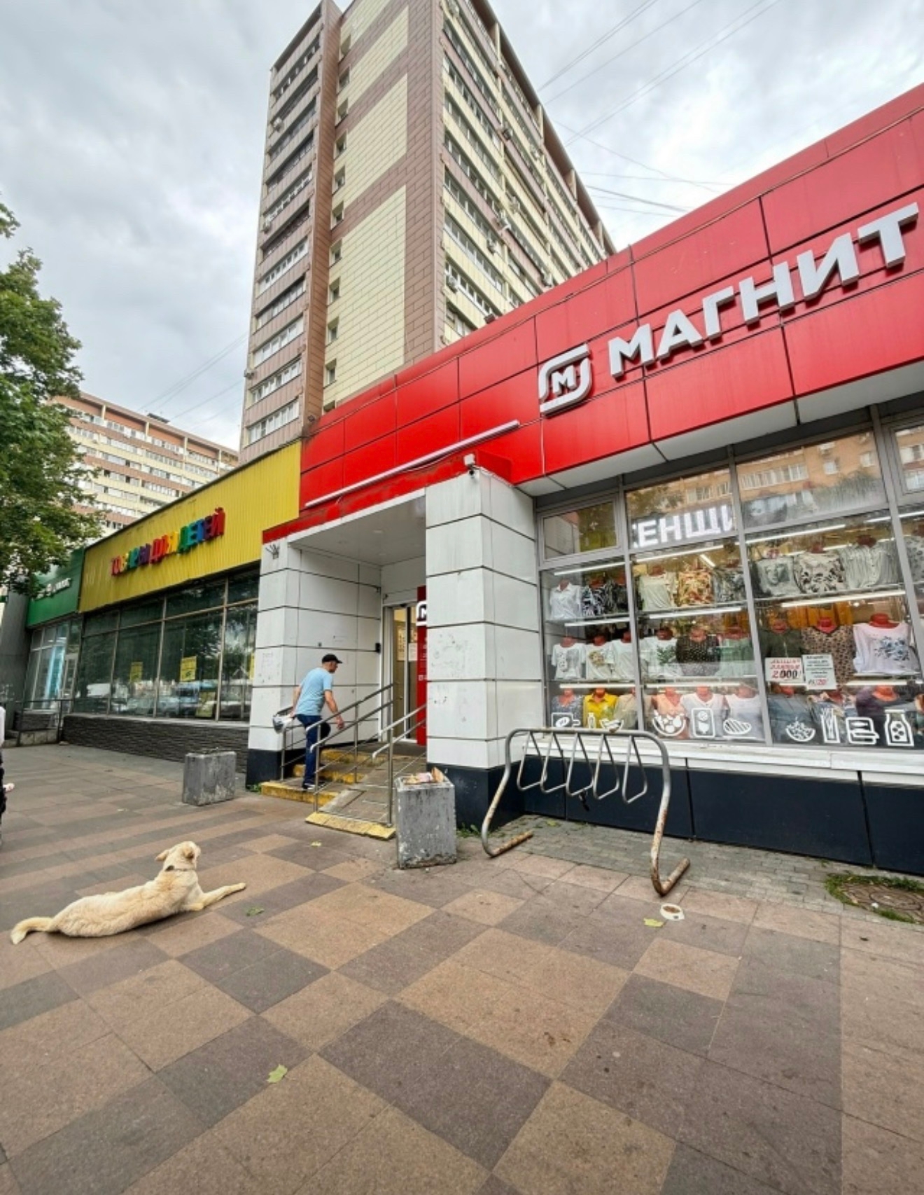 Найдена собака в Долгопрудном — фото объявления