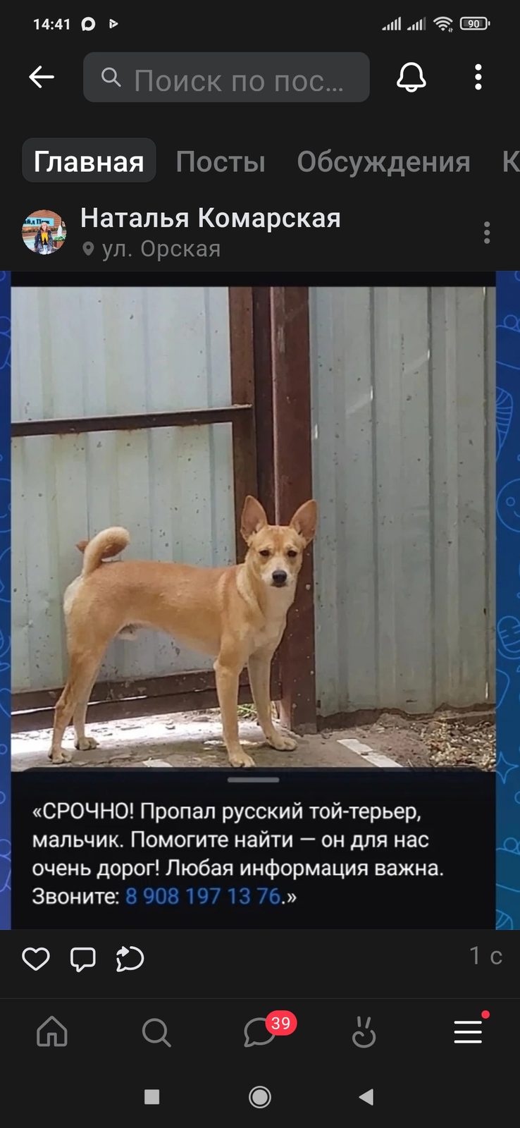 Пропала собака в Ростове-на-Дону — фото объявления