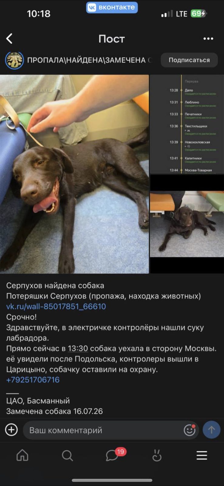 Пропала собака в Москве — фото объявления