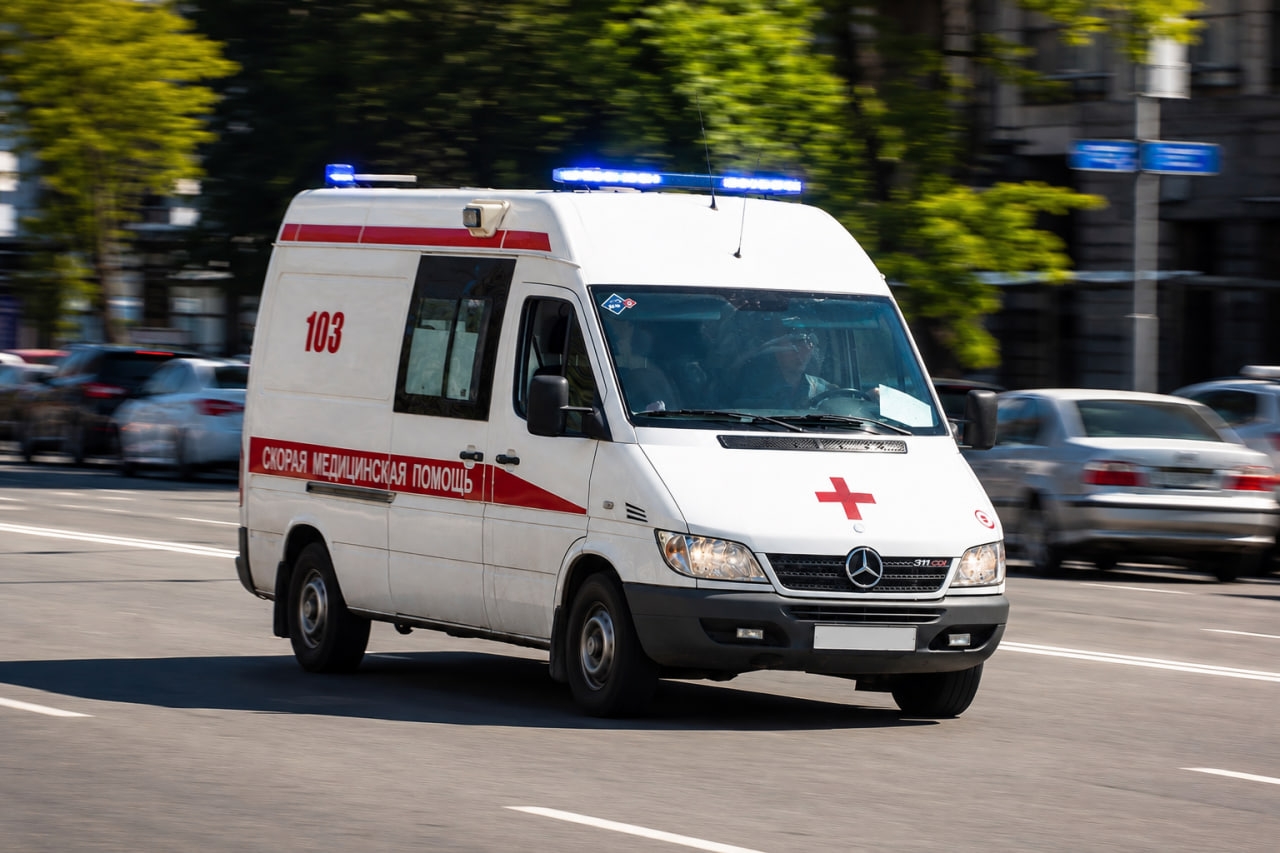 Объявление о питомце в Домодедове — фото объявления