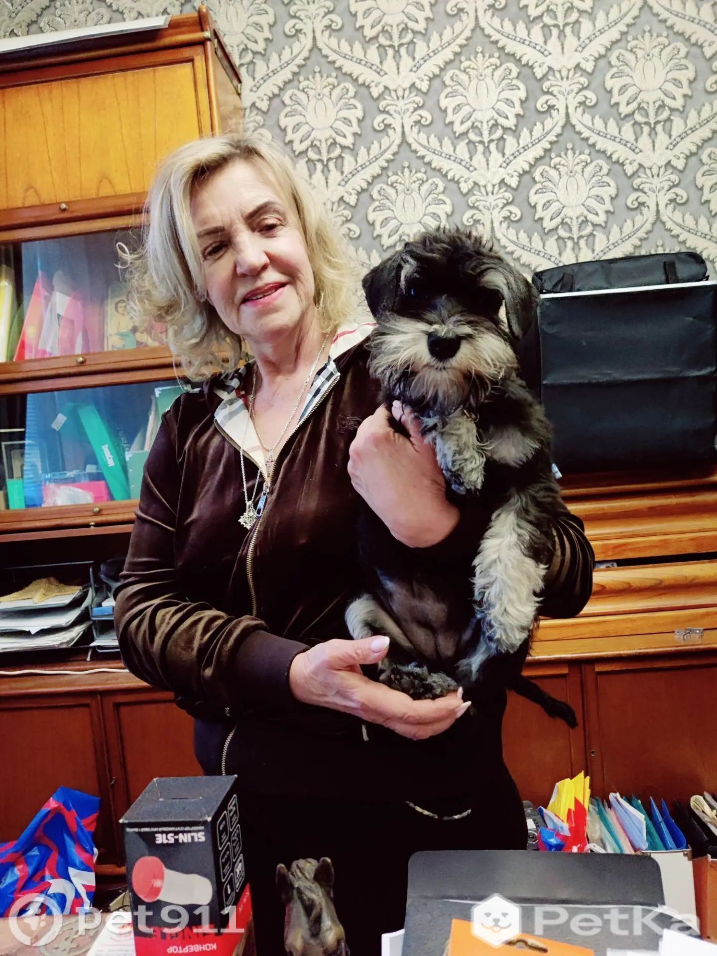 Найдена собака в Кудрове — фото объявления